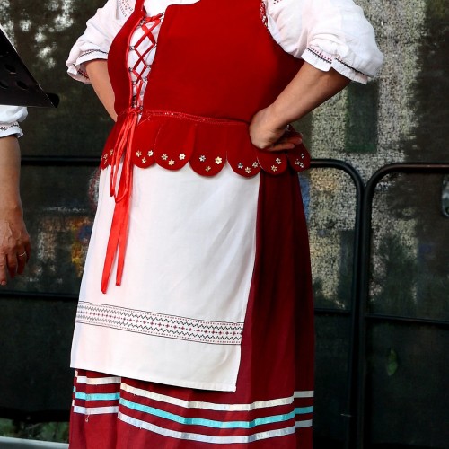 Ludowizna