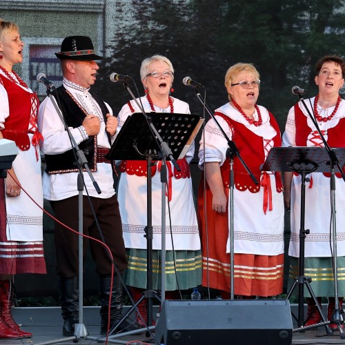 Ludowizna