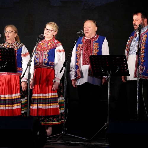 Ludowizna