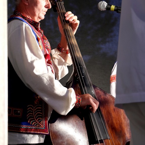 Ludowizna
