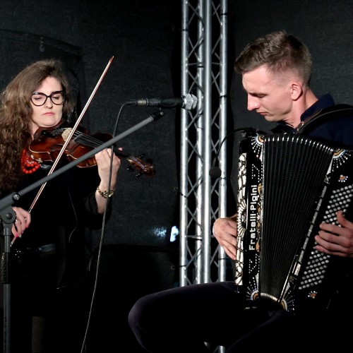Ludowizna