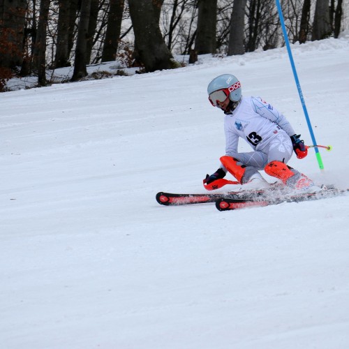 Międzynarodowe Zawody 