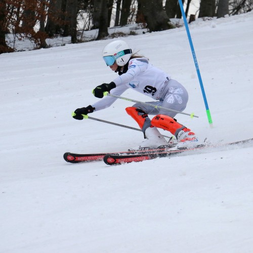 Międzynarodowe Zawody 