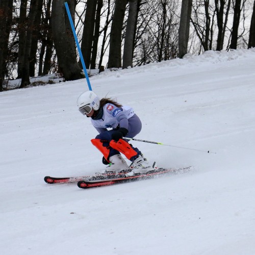 Międzynarodowe Zawody 