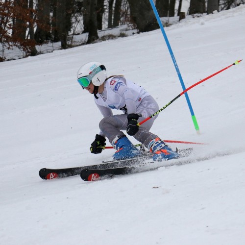 Międzynarodowe Zawody 