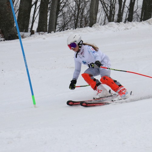 Międzynarodowe Zawody 