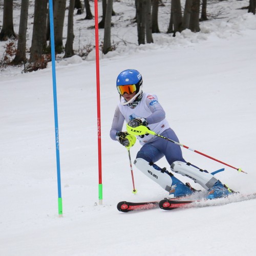 Międzynarodowe Zawody 