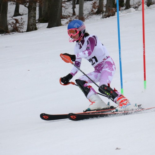 Międzynarodowe Zawody 