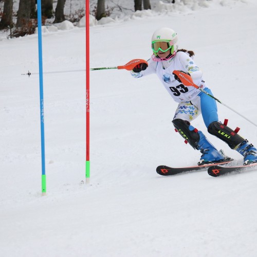 Międzynarodowe Zawody 