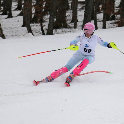 Międzynarodowe Zawody 