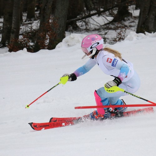 Międzynarodowe Zawody 