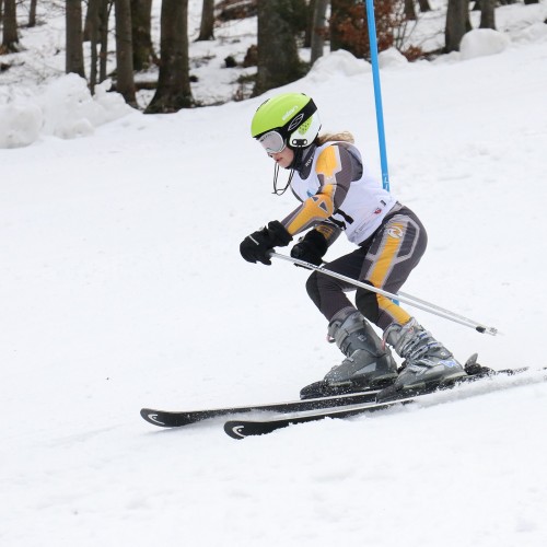 Międzynarodowe Zawody 