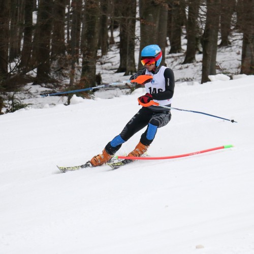 Międzynarodowe Zawody 