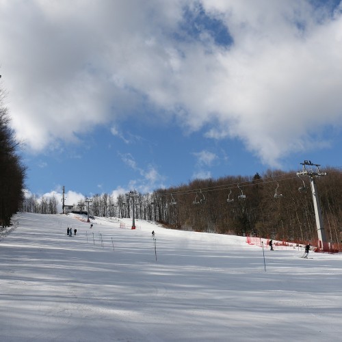 Międzynarodowe Zawody 