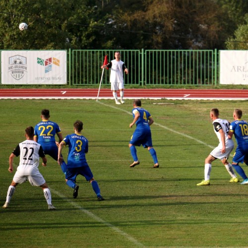 MKS Arłamów Ustrzyki Dolne- Geo-Eko Ekoball Stal Sanok