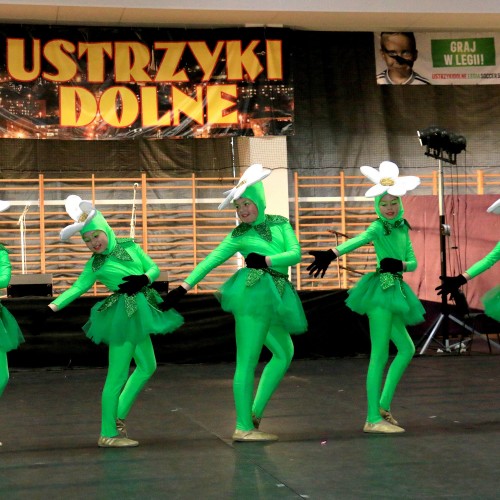 Dni Ustrzyk Dolnych- dzień II