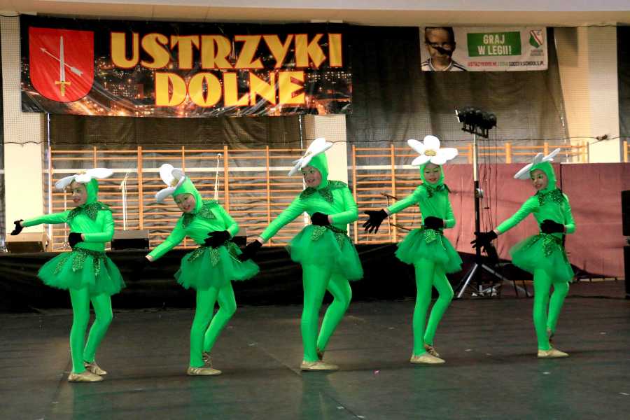 Dni Ustrzyk Dolnych- dzień II