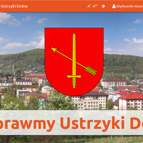 Naprawmy Ustrzyki Dolne