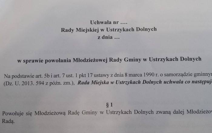 Młodzieżowa Rada Gminy powołana