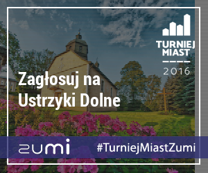 Ustrzyki Dolne w Turnieju Miast