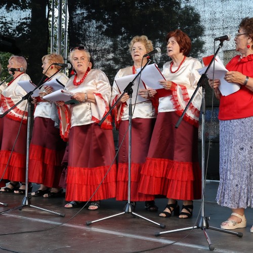 Piknik dla Seniora/ Naukowa niedziela