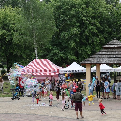 Piknik rodzinny z Promykiem Nadziei 
