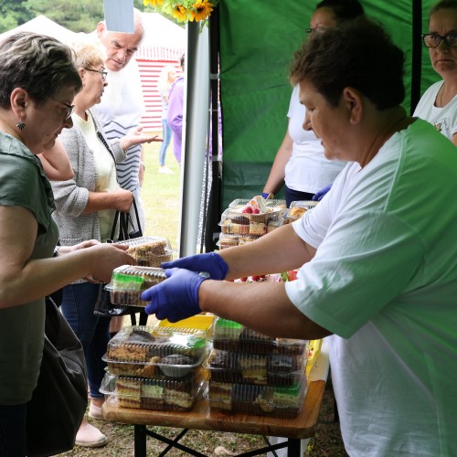 Piknik rodzinny z Promykiem Nadziei 