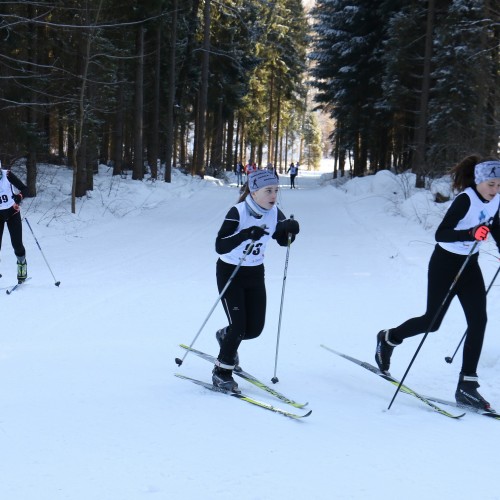 Podkarpacka Liga w Biegach Narciarskich 2019