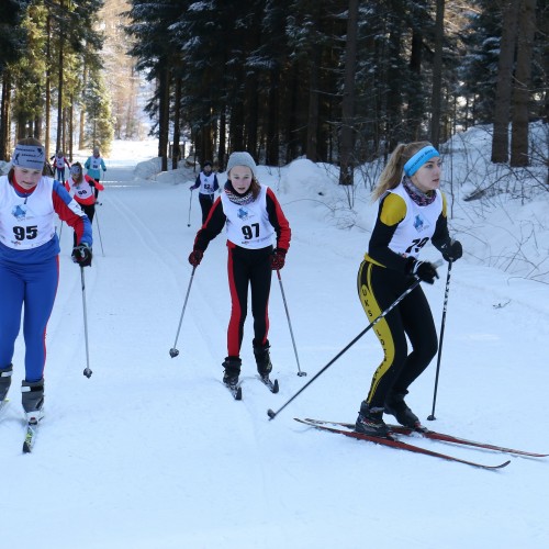 Podkarpacka Liga w Biegach Narciarskich 2019