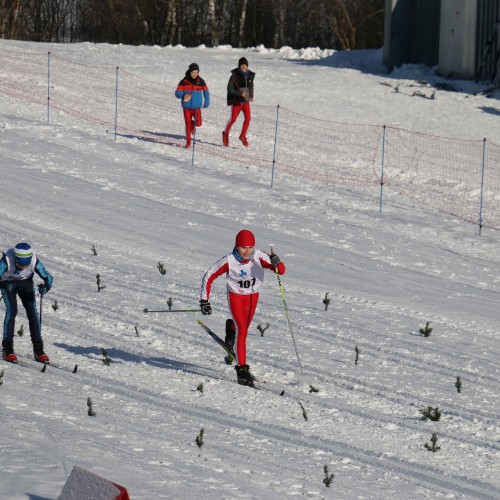 Podkarpacka Liga w Biegach Narciarskich 2019