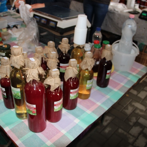Promocja Ustrzyk Dolnych na festiwalu w Heviz (Węgry)