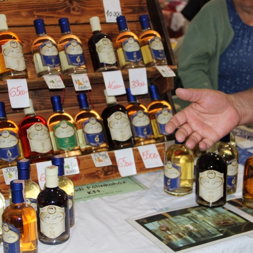 Promocja Ustrzyk Dolnych na festiwalu w Heviz (Węgry)