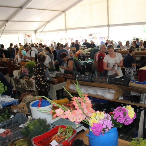 Promocja Ustrzyk Dolnych na festiwalu w Heviz (Węgry)