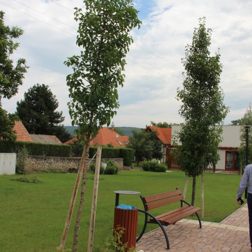 Promocja Ustrzyk Dolnych na festiwalu w Heviz (Węgry)