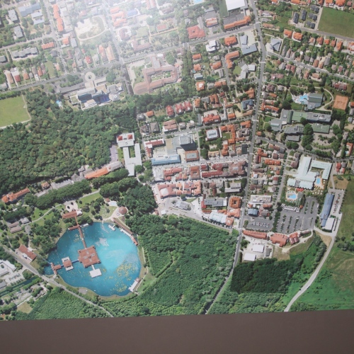 Promocja Ustrzyk Dolnych na festiwalu w Heviz (Węgry)