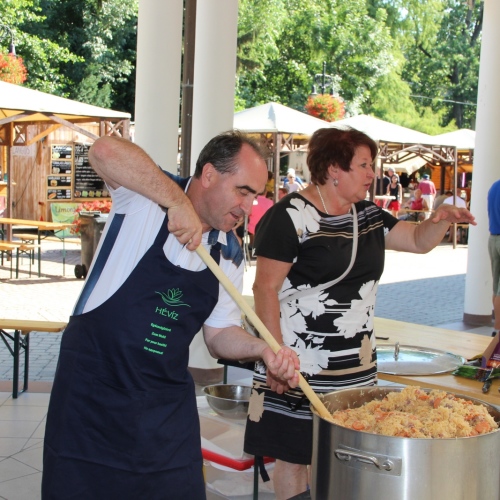 Promocja Ustrzyk Dolnych na festiwalu w Heviz (Węgry)