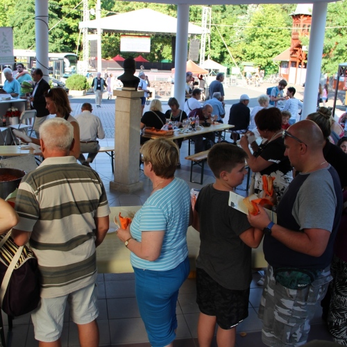 Promocja Ustrzyk Dolnych na festiwalu w Heviz (Węgry)