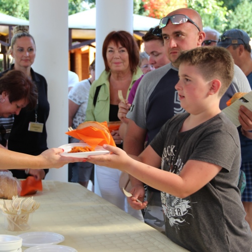 Promocja Ustrzyk Dolnych na festiwalu w Heviz (Węgry)