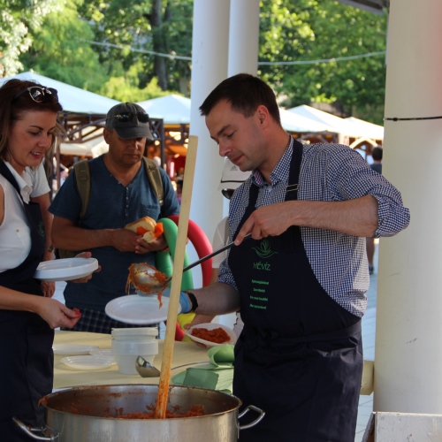 Promocja Ustrzyk Dolnych na festiwalu w Heviz (Węgry)