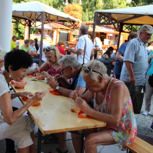 Promocja Ustrzyk Dolnych na festiwalu w Heviz (Węgry)