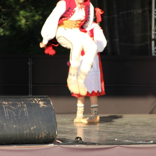 Promocja Ustrzyk Dolnych na festiwalu w Heviz (Węgry)