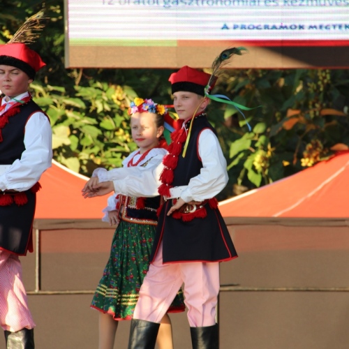 Promocja Ustrzyk Dolnych na festiwalu w Heviz (Węgry)