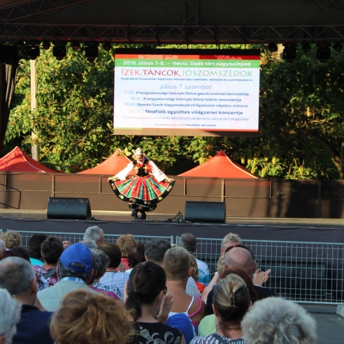 Promocja Ustrzyk Dolnych na festiwalu w Heviz (Węgry)