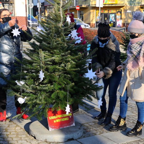 Ubieranie choinek w Gminie Ustrzyki Dolne