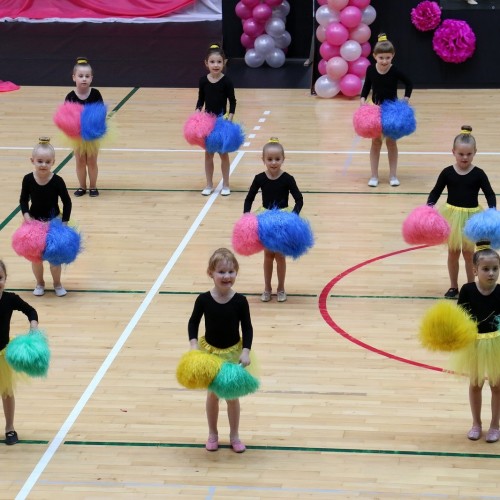 Ustrzycka Gala Cheerleaders 2018