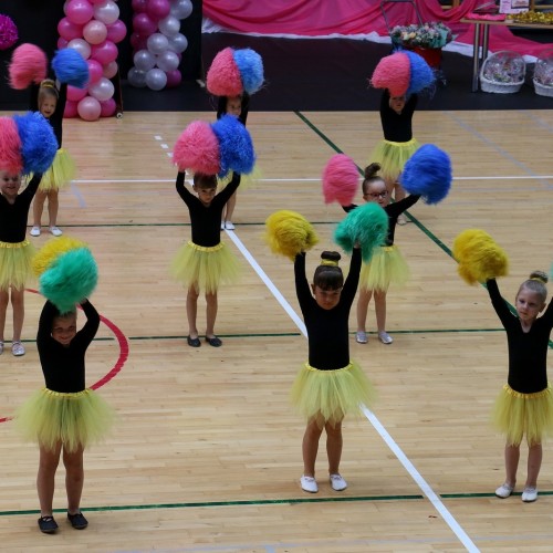 Ustrzycka Gala Cheerleaders 2018