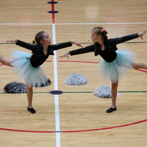 Ustrzycka Gala Cheerleaders 2018