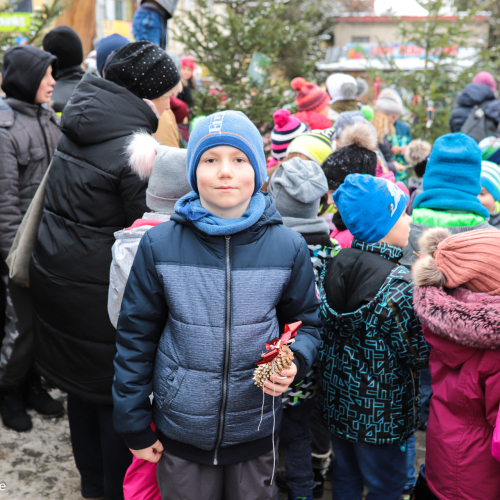 Ustrzyki ubierają wspólnie choinki!