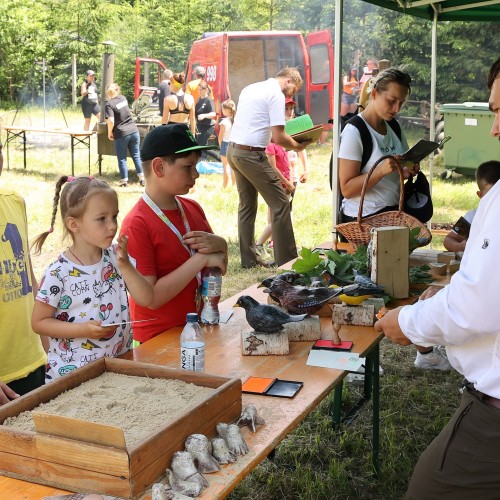 VI Bieszczadzki Bieg Lotników. Edycja Letnia.