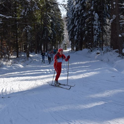 XXXI Bieszczadzki Bieg Lotników- dzień I (fot. Z.Mołodyński)